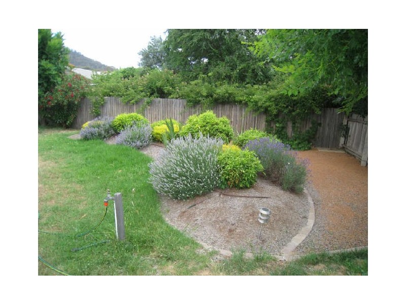 56 Tyson street, Ainslie ACT 2602