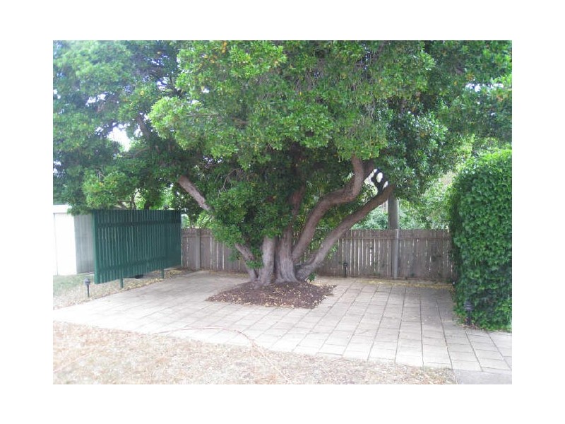 56 Tyson street, Ainslie ACT 2602