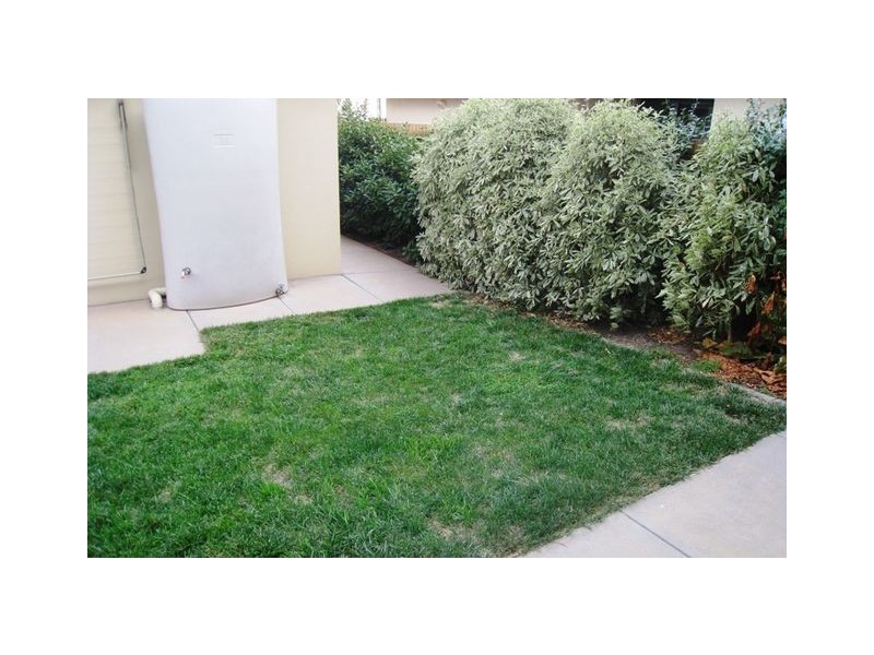 25 Katoomba Street, Harrison ACT 2914
