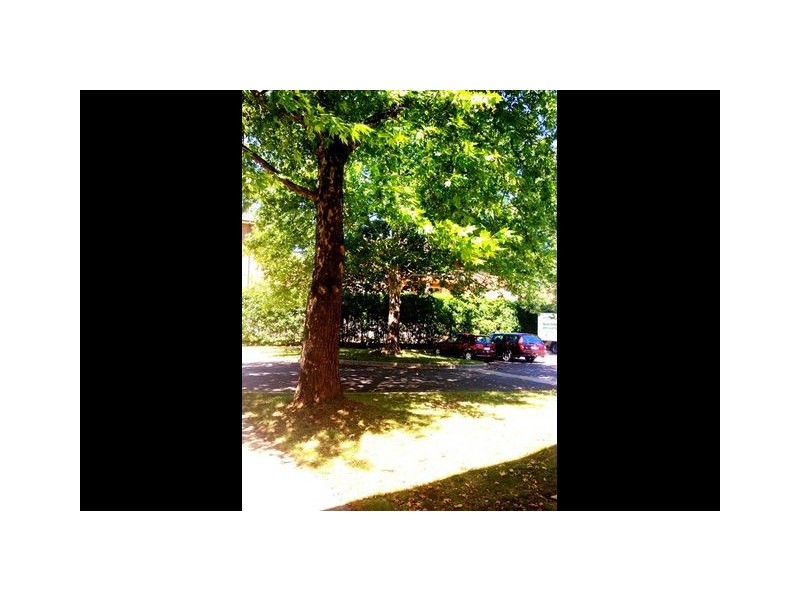 16/3 Waddell Street, Curtin ACT 2605