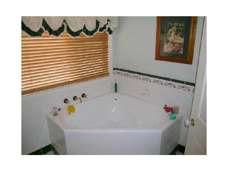 62 Wyangala Circuit, Woodcroft NSW 2767