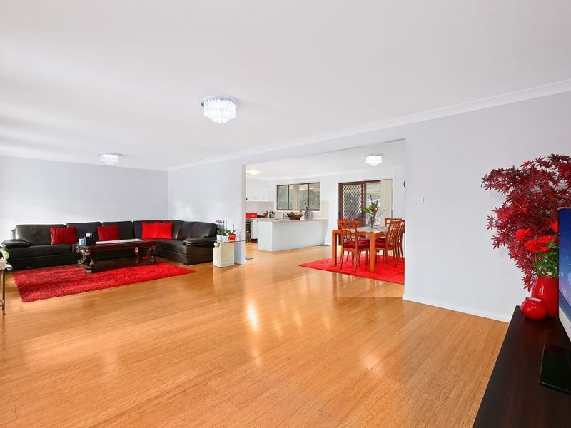 172 Minchin Drive, Minchinbury NSW 2770