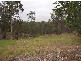 Lot 22 Lorikeet Drive, Tamaree QLD 4570