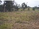 Lot 22 Lorikeet Drive, Tamaree QLD 4570