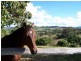 22 Figtree Road, Chatsworth QLD 4570