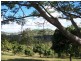 22 Figtree Road, Chatsworth QLD 4570