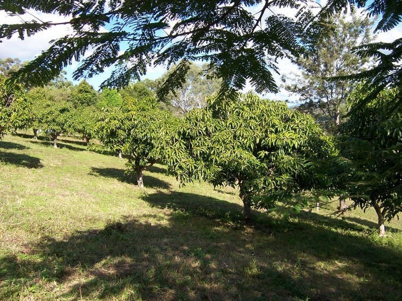 22 Figtree Road, Chatsworth QLD 4570