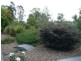 50 Sorensen Road, Southside QLD 4570