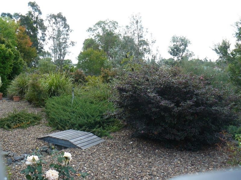 50 Sorensen Road, Southside QLD 4570
