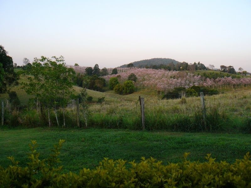 365 Hyland Road, East Deep Creek QLD 4570