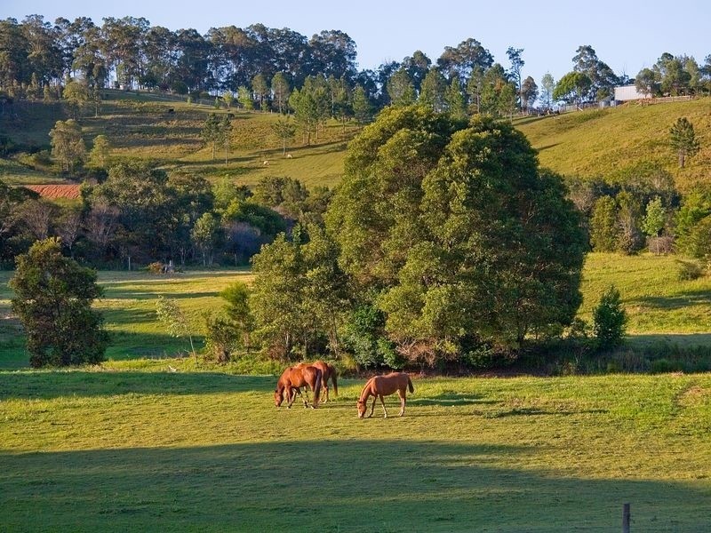 58 Aural Vale Road, North Deep Creek QLD 4570