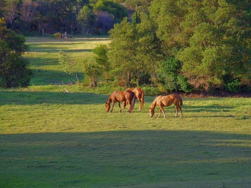 58 Aural Vale Road, North Deep Creek QLD 4570