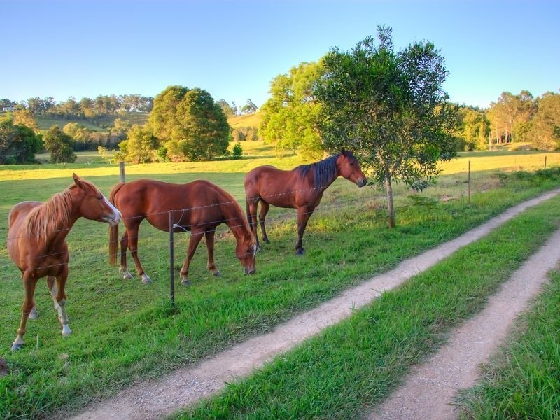 58 Aural Vale Road, North Deep Creek QLD 4570