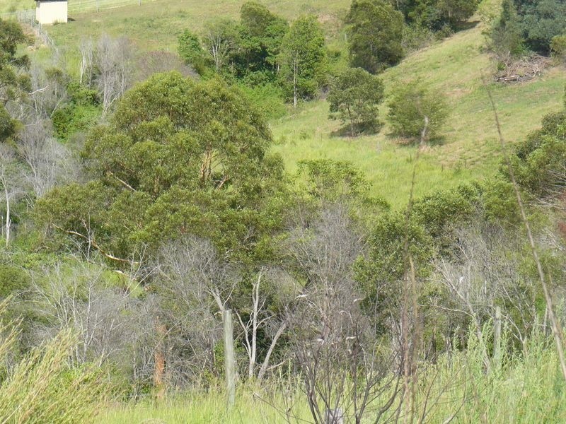 Lot 19 Castle Court, East Deep Creek QLD 4570