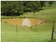 15 Wacal Road, Mothar Mountain QLD 4570
