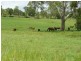 122 Rocks Road, Pie Creek QLD 4570