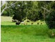 122 Rocks Road, Pie Creek QLD 4570