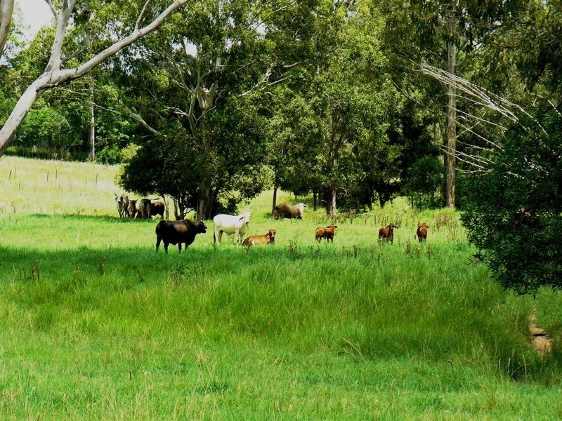 122 Rocks Road, Pie Creek QLD 4570