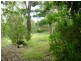 13 Briere Rd, The Palms QLD 4570