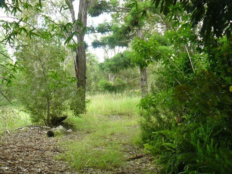 13 Briere Rd, The Palms QLD 4570