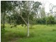 13 Briere Rd, The Palms QLD 4570