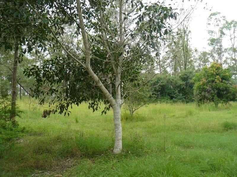 13 Briere Rd, The Palms QLD 4570