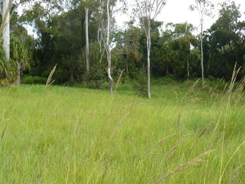 13 Briere Rd, The Palms QLD 4570