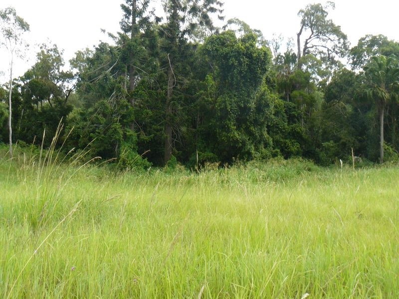 13 Briere Rd, The Palms QLD 4570