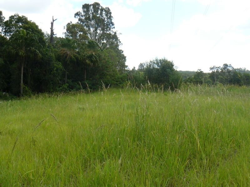 13 Briere Rd, The Palms QLD 4570