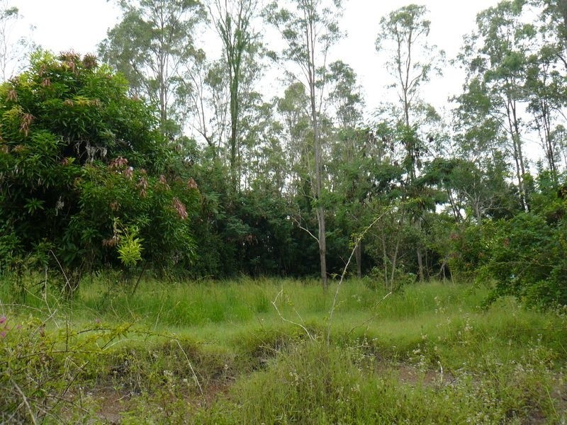 13 Briere Rd, The Palms QLD 4570