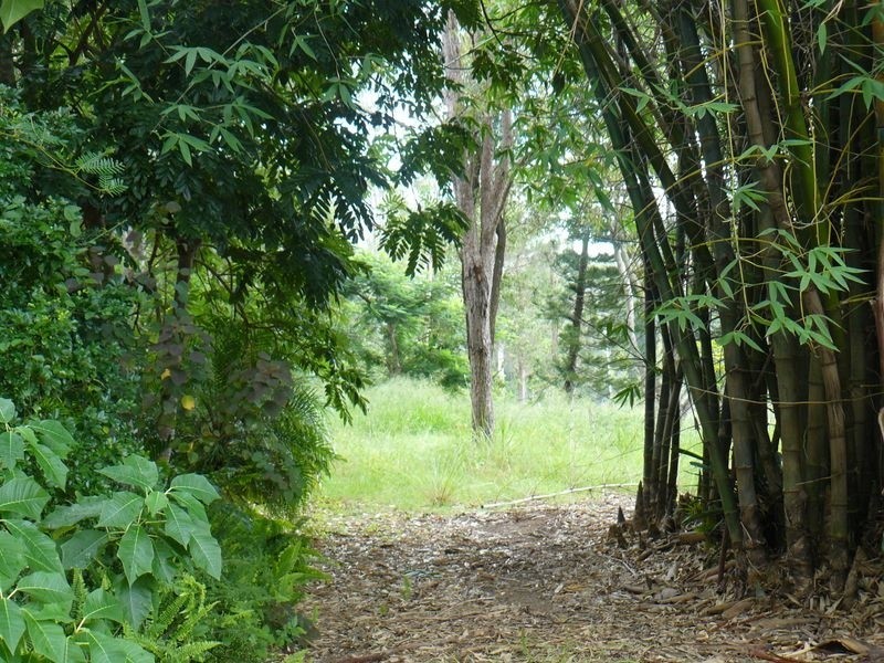 13 Briere Rd, The Palms QLD 4570