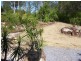 38 Old Veteran Road, Veteran QLD 4570