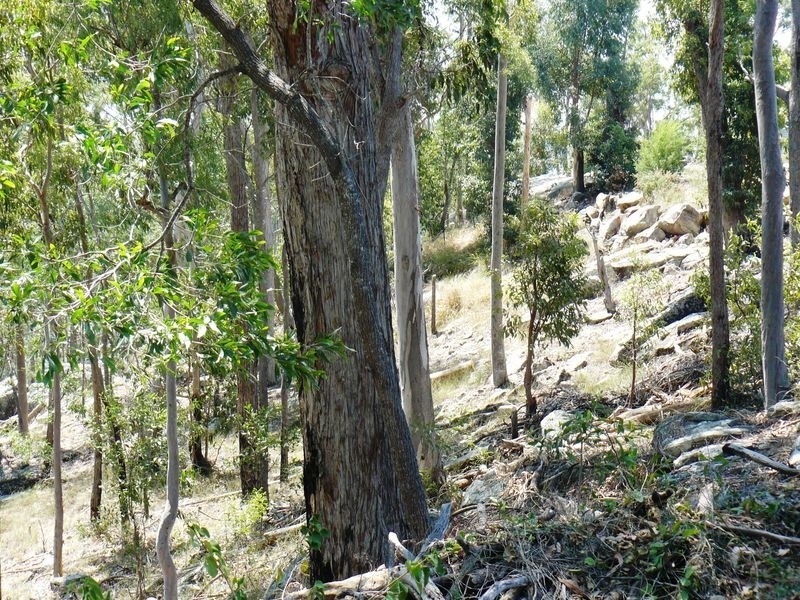 30 Benian Rd, The Palms QLD 4570