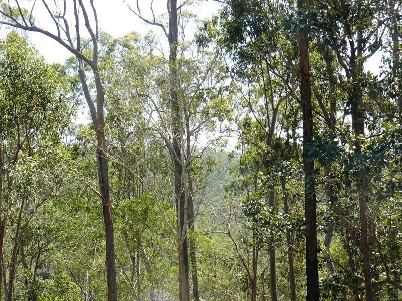 30 Benian Rd, The Palms QLD 4570