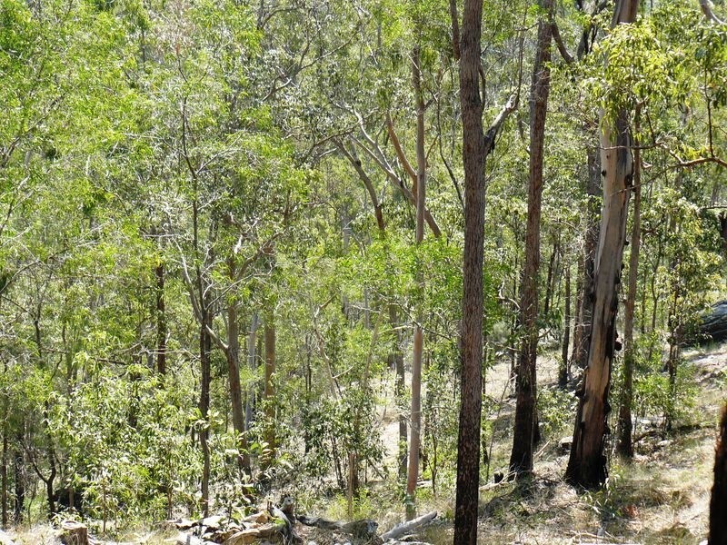 30 Benian Rd, The Palms QLD 4570