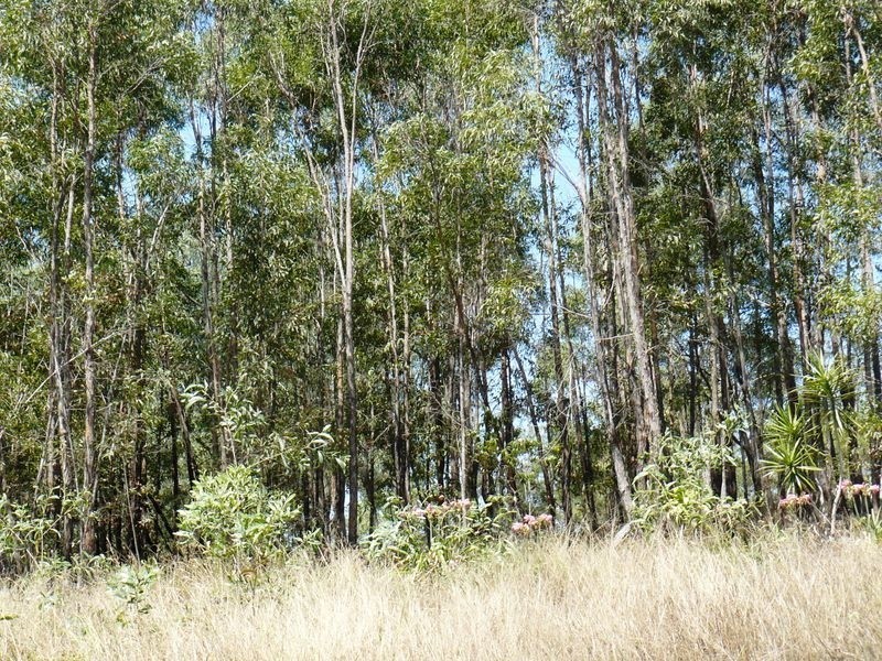 30 Benian Rd, The Palms QLD 4570