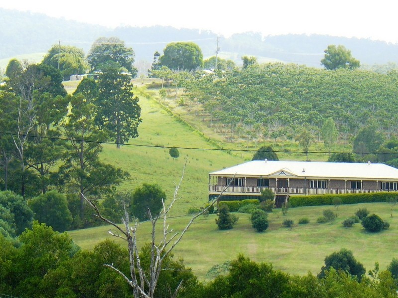 365 Hyland Road, East Deep Creek QLD 4570