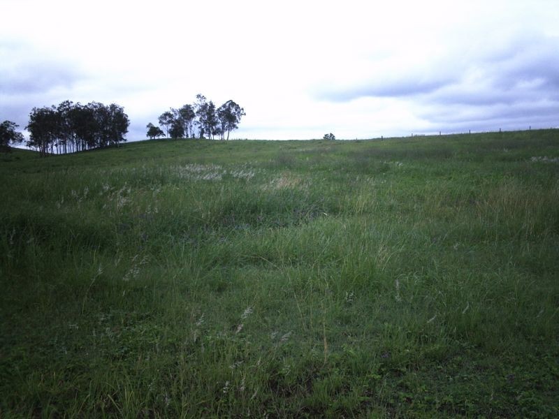 Lot 17 Chamberlain Street, Woolooga QLD 4570