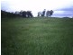 Lot 17 Chamberlain Street, Woolooga QLD 4570