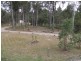 46 Carmel Crescent, Curra QLD 4570
