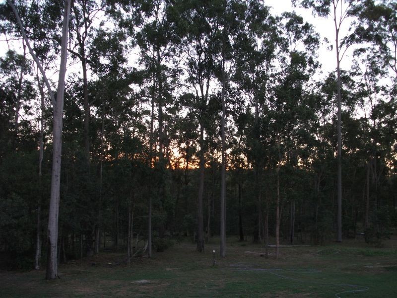 241 Kirsten Drive, Curra QLD 4570