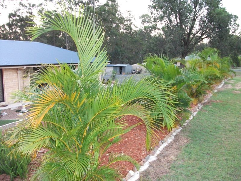 241 Kirsten Drive, Curra QLD 4570