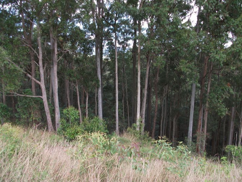 194 Goodyear Rd, Cedar Pocket QLD 4570