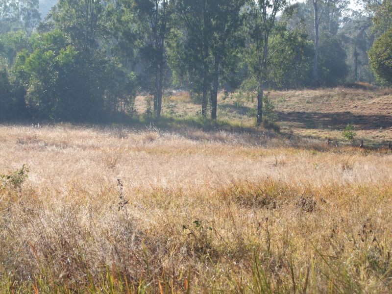 Lot 59 Settlement Rd, Curra QLD 4570