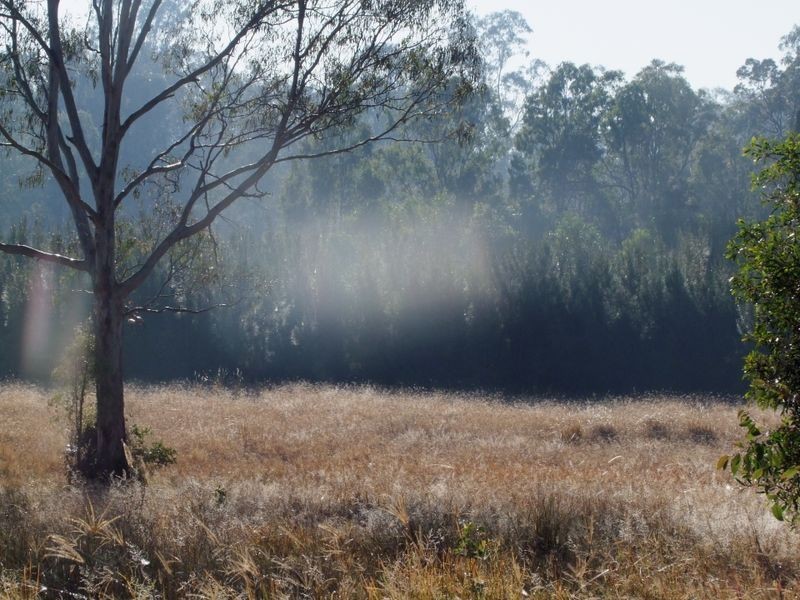 Lot 59 Settlement Rd, Curra QLD 4570