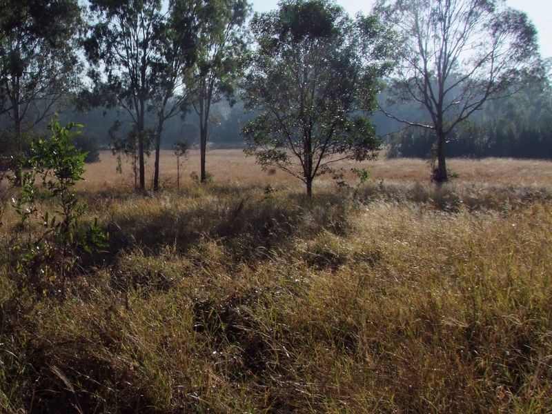 Lot 59 Settlement Rd, Curra QLD 4570