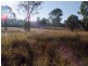 Lot 60 Settlement Rd, Curra QLD 4570