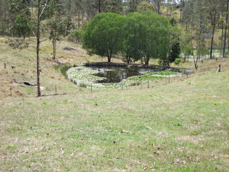 77 Ces Rivers Rd, Tamaree QLD 4570