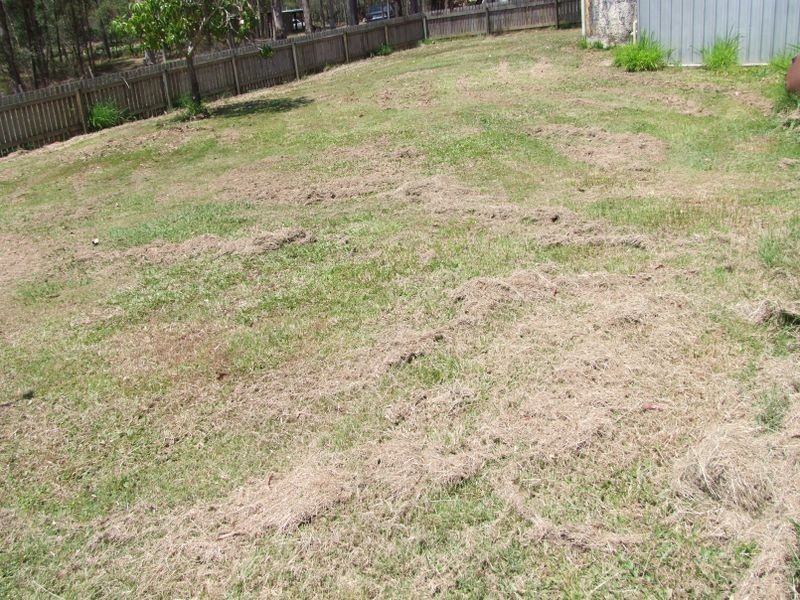 77 Ces Rivers Rd, Tamaree QLD 4570