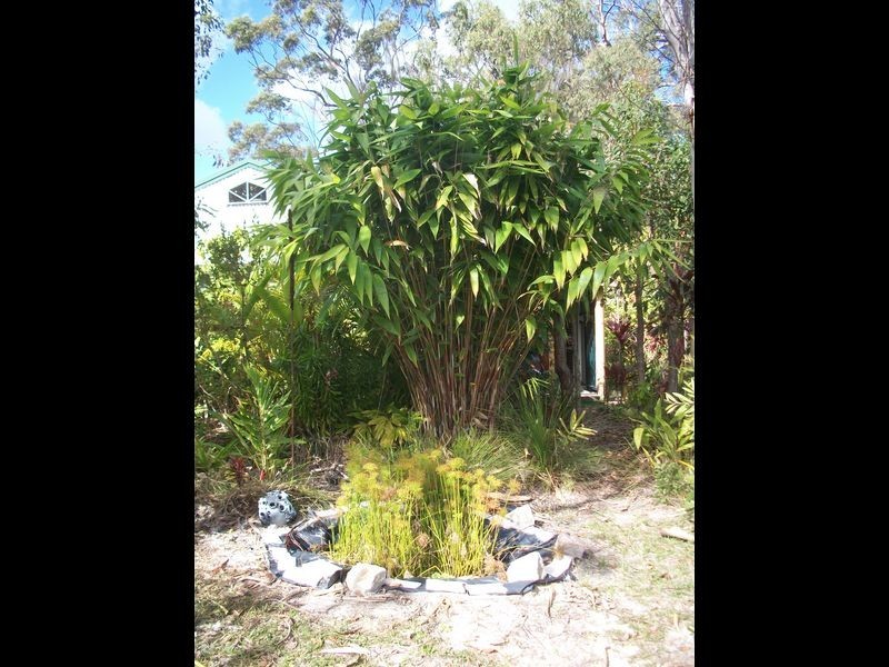 30 Seawitch Cres, Cooloola Cove QLD 4580